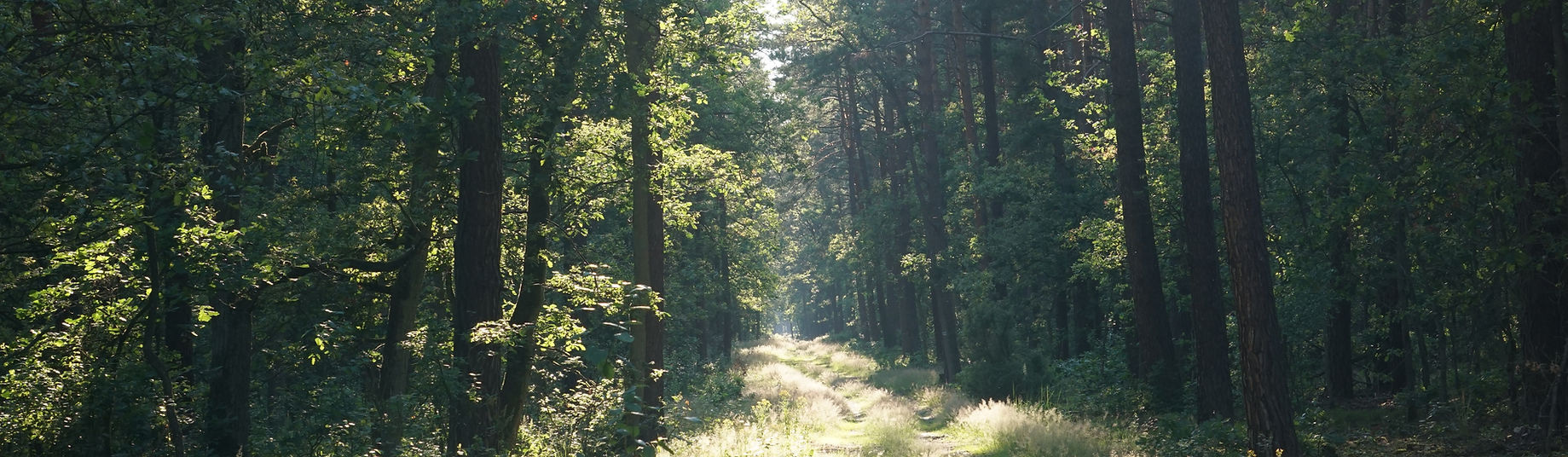 Kampinos National Park